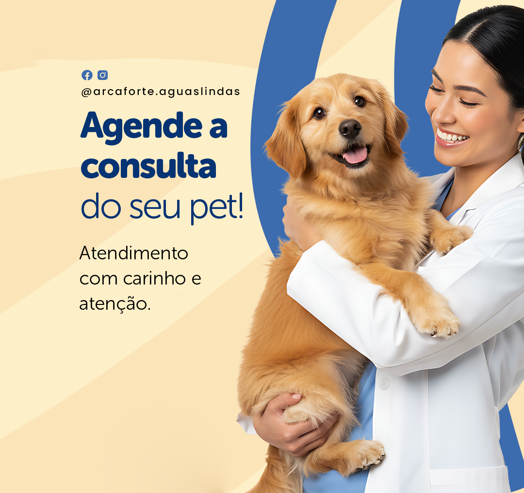 Atendimento veterinário Arca Forte para cães e gatos